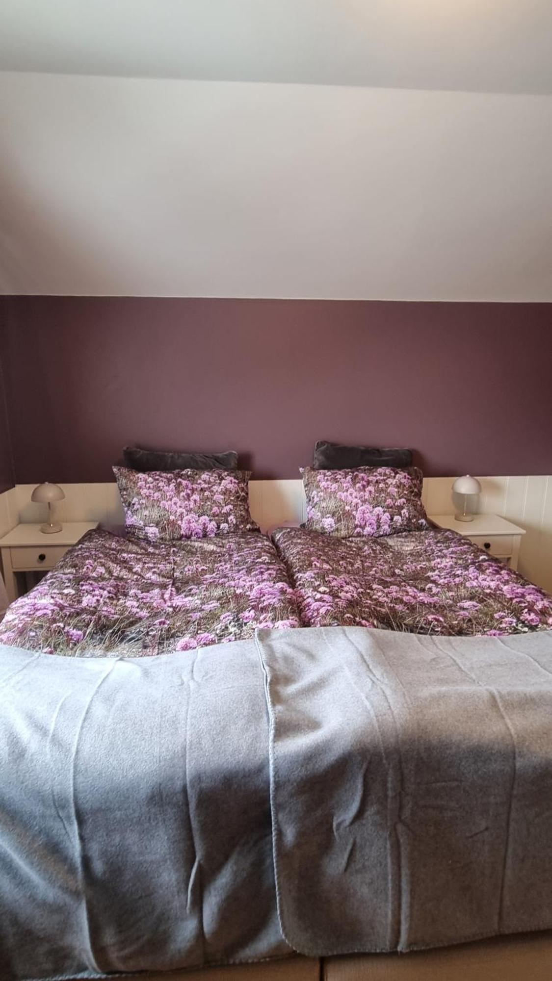 Fornilaekur Guesthouse Blonduos Buitenkant foto