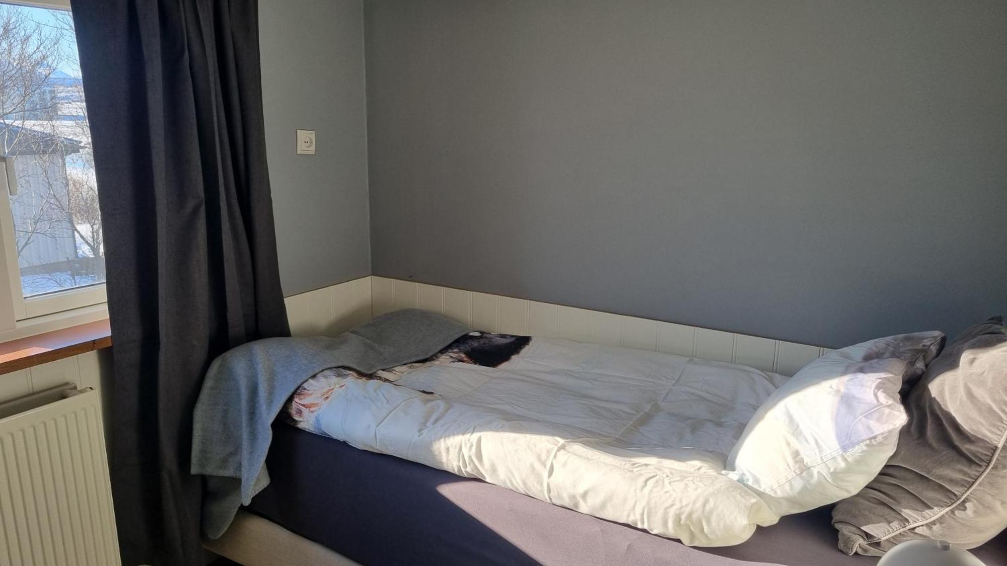 Fornilaekur Guesthouse Blonduos Buitenkant foto